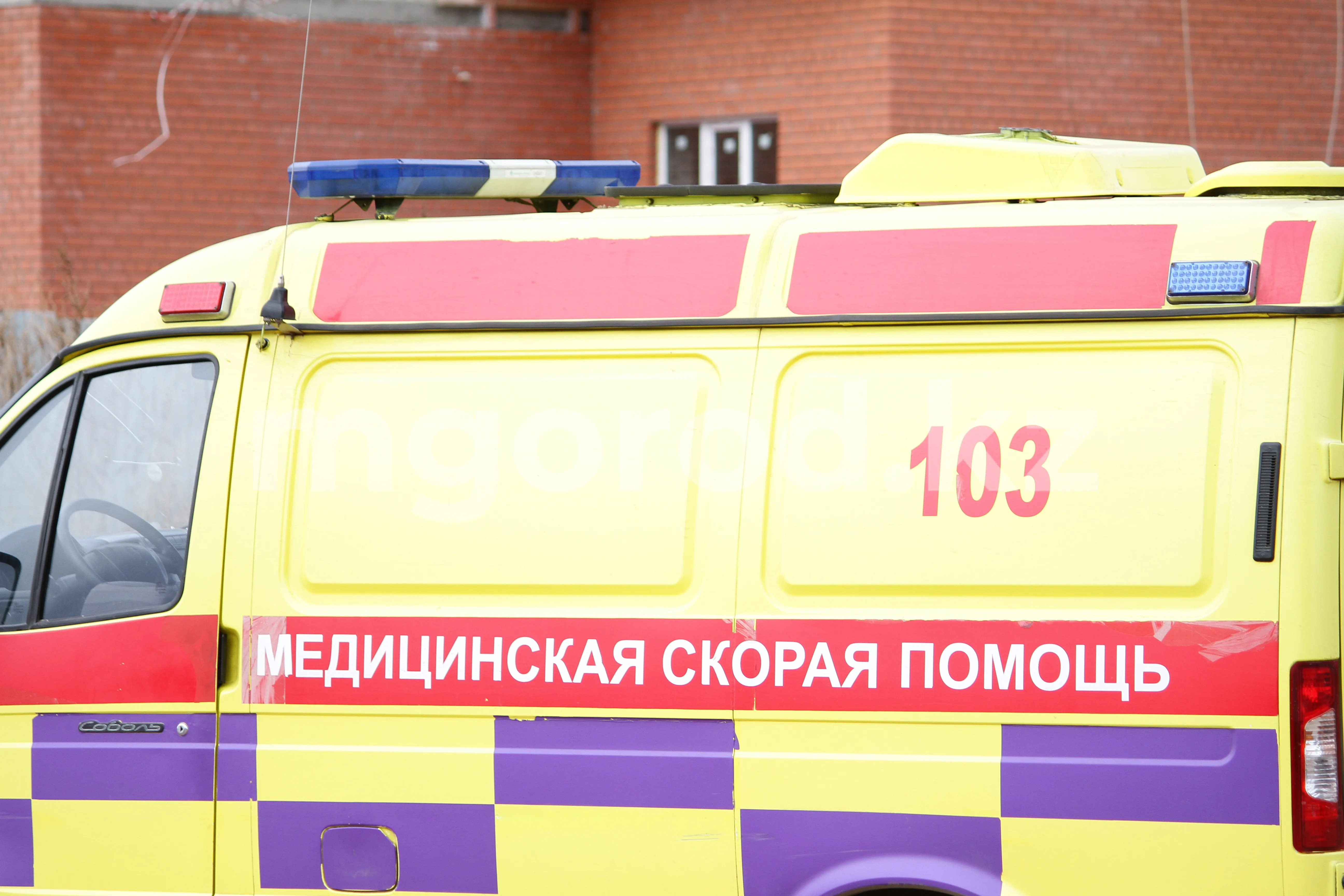 14-летний мотоциклист врезался в верблюда в Атырауской области